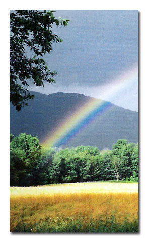 jess terrien photographer