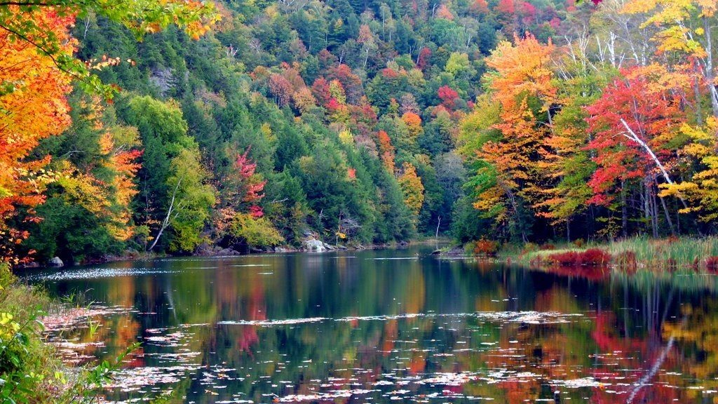 Gillett Pond - Huntington, Vermont. ©2017 Nancy Stoddard